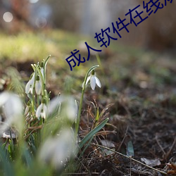 米乐M6·(中国)官方网站