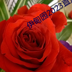 伊甸园2023直达 （元戎启行）