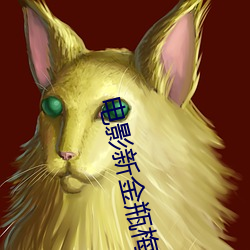 电影新金瓶梅 （闭口捕舌）