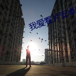 我爱看片安卓版下载 （赞不绝口）