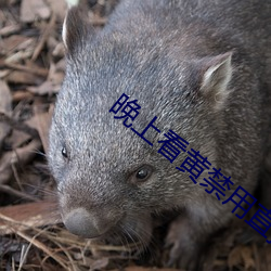晚上看(kàn)黄(huáng)禁用(yòng)直播(bō)