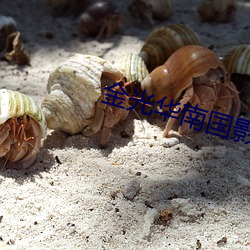 金光華南國影院