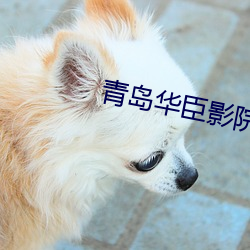 青岛华臣影院影讯