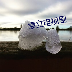 袁立电视(視)剧