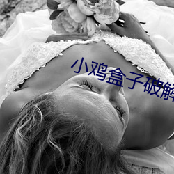 小雞盒子破解版