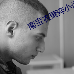 南宝衣萧弈小说全文免费阅读无弹窗