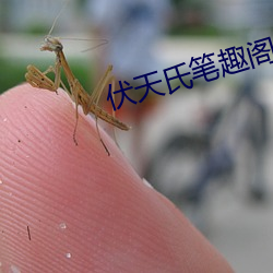 伏天氏(shì)笔(bǐ)趣(qù)阁