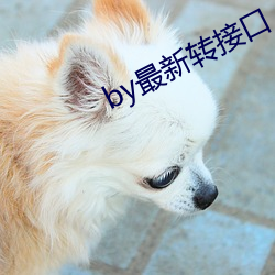 by最(zuì)新转接口