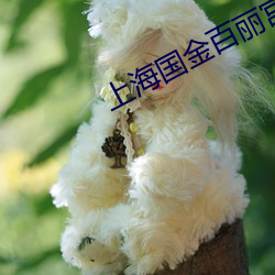 金年会(中国)官方网站