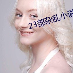 23部雜亂小說