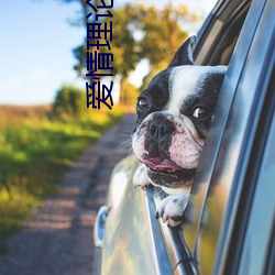 爱情理论100种
