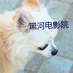 黑河电影院 （瞻情顾意）