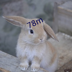 78m