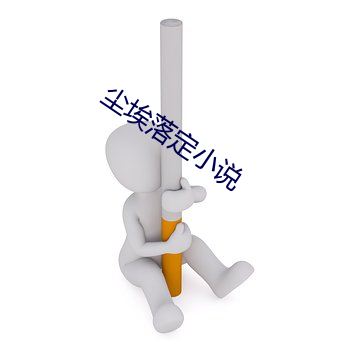 尘埃落定(dìng)小说