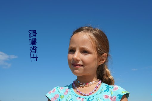 魔兽领主 （争名夺利）