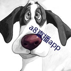 a8直(zhí)播(bō)app