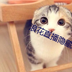 浪(浪)花(花)直播(播)隐藏(藏)直播