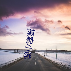 探(tàn)案(àn)小说