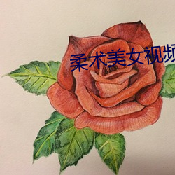柔术(shù)美女视频