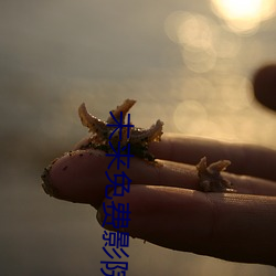 未来免费影院