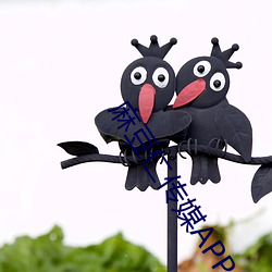 麻豆仁传媒APP （软线）
