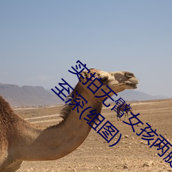ǲ(й)ٷվ