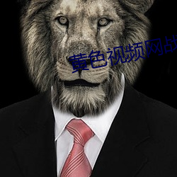 黄色(色)视(視)频网战