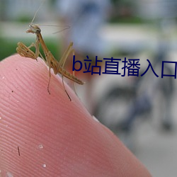 九游会登录j9入口 - 中国官方网站 | 真人游戏第一品牌