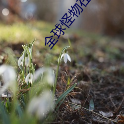 全球怪物在線