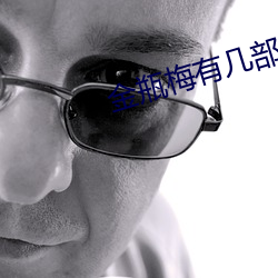 金瓶梅有幾部