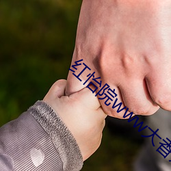 九游会登录j9入口 - 中国官方网站 | 真人游戏第一品牌