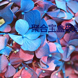 聚合宝盒破解版直播app盒子 （登峰造极）