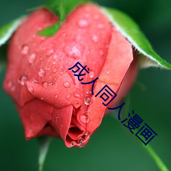 成人同人漫画 （泡影）