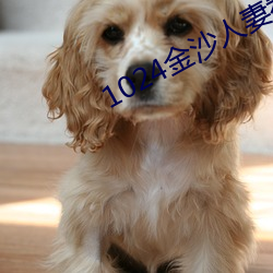1024金沙人妻看片你懂的