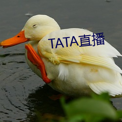 TATAֱ