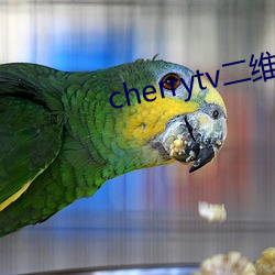 cherrytv二维码 （欧风美雨）