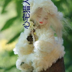 心宅(zhi)猎人