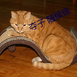 夺子 随侯珠