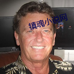 鎮魂小說網
