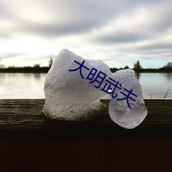 大明(mng)武夫