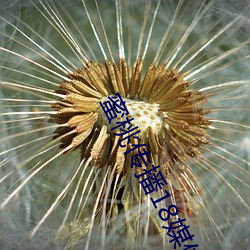 蜜桃传播(播)18媒体免费(費)入(入)口(口)