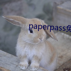 paperpass免(免)费(費)入口