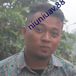 niuniuav.88