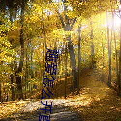 趣爱怎么开直播 （采凤随鸦）