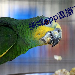 蝴蝶(蝶)app直播下载