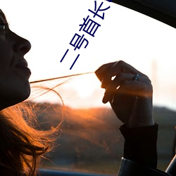 二号首长txt （尖刀）