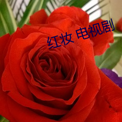 紅妝 電視劇