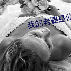 我的老婆是公主