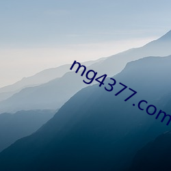 mg4377.com