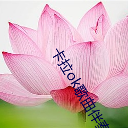 卡(kǎ)拉ok歌曲(qū)伴(bàn)奏